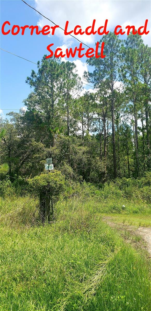 MOON LAKE ESTATES - Land