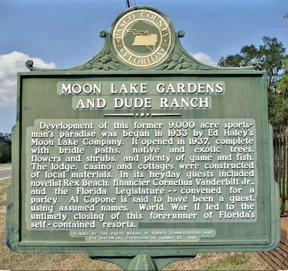 MOON LAKE ESTATES - Land