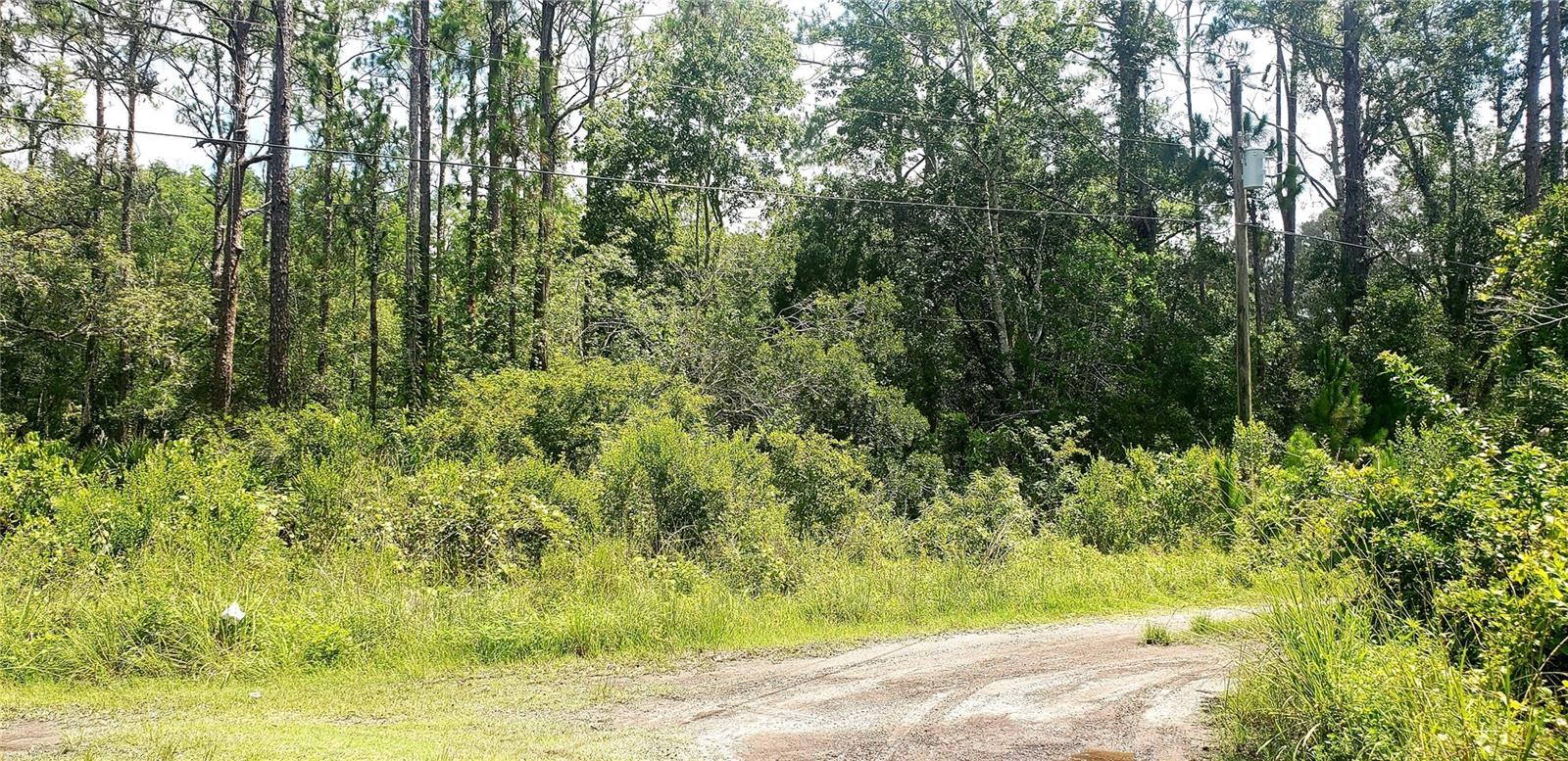 MOON LAKE ESTATES - Land