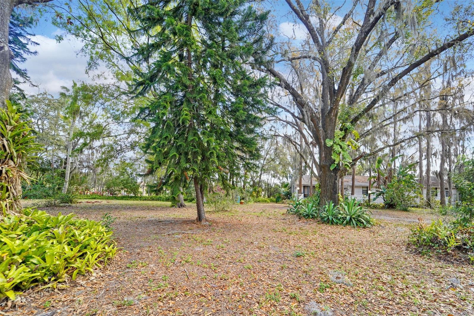 UNPLATTED - Residential