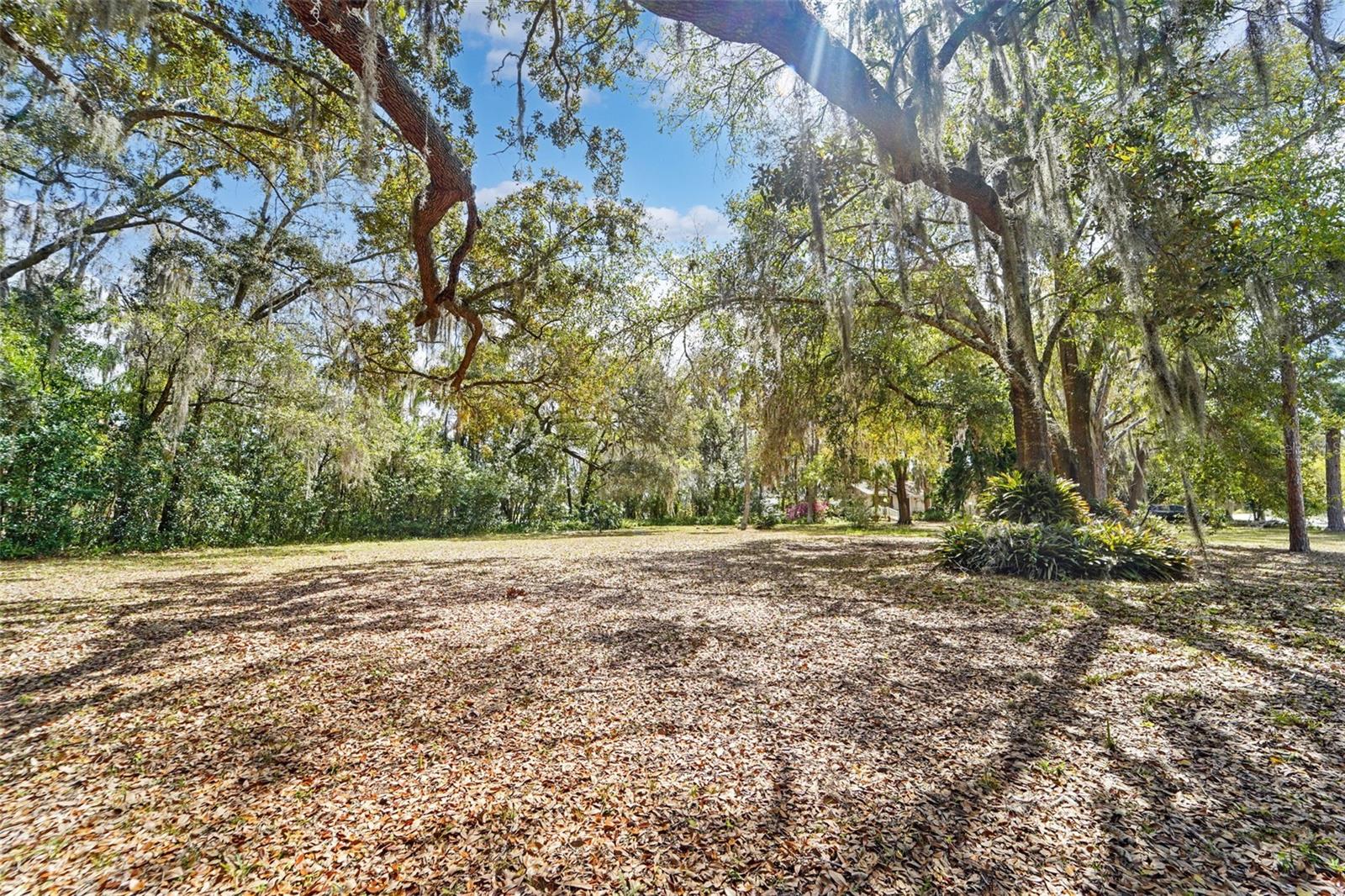 UNPLATTED - Residential