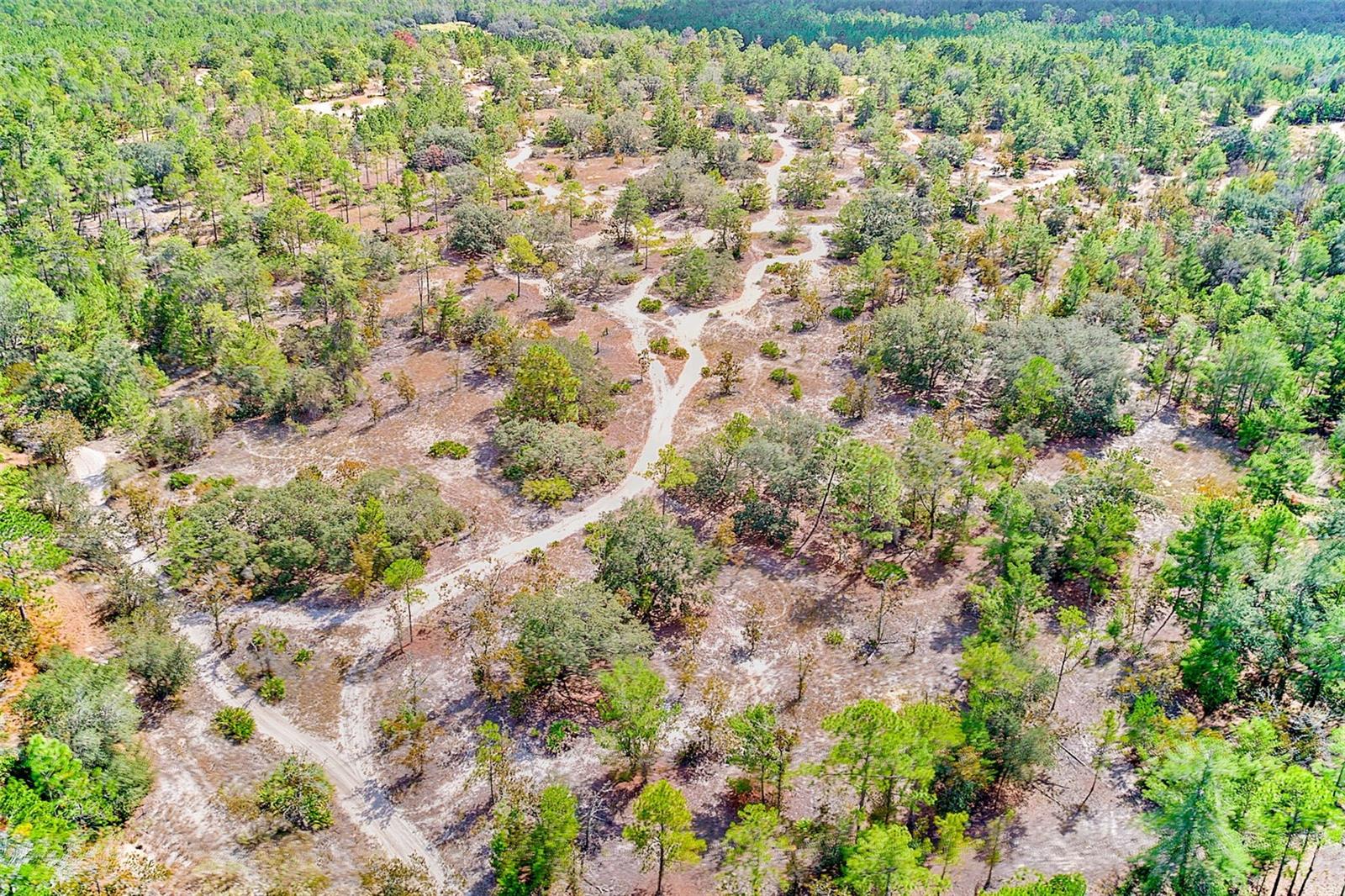 SUGARMILL WOODS OAK VILLAGE - Residential