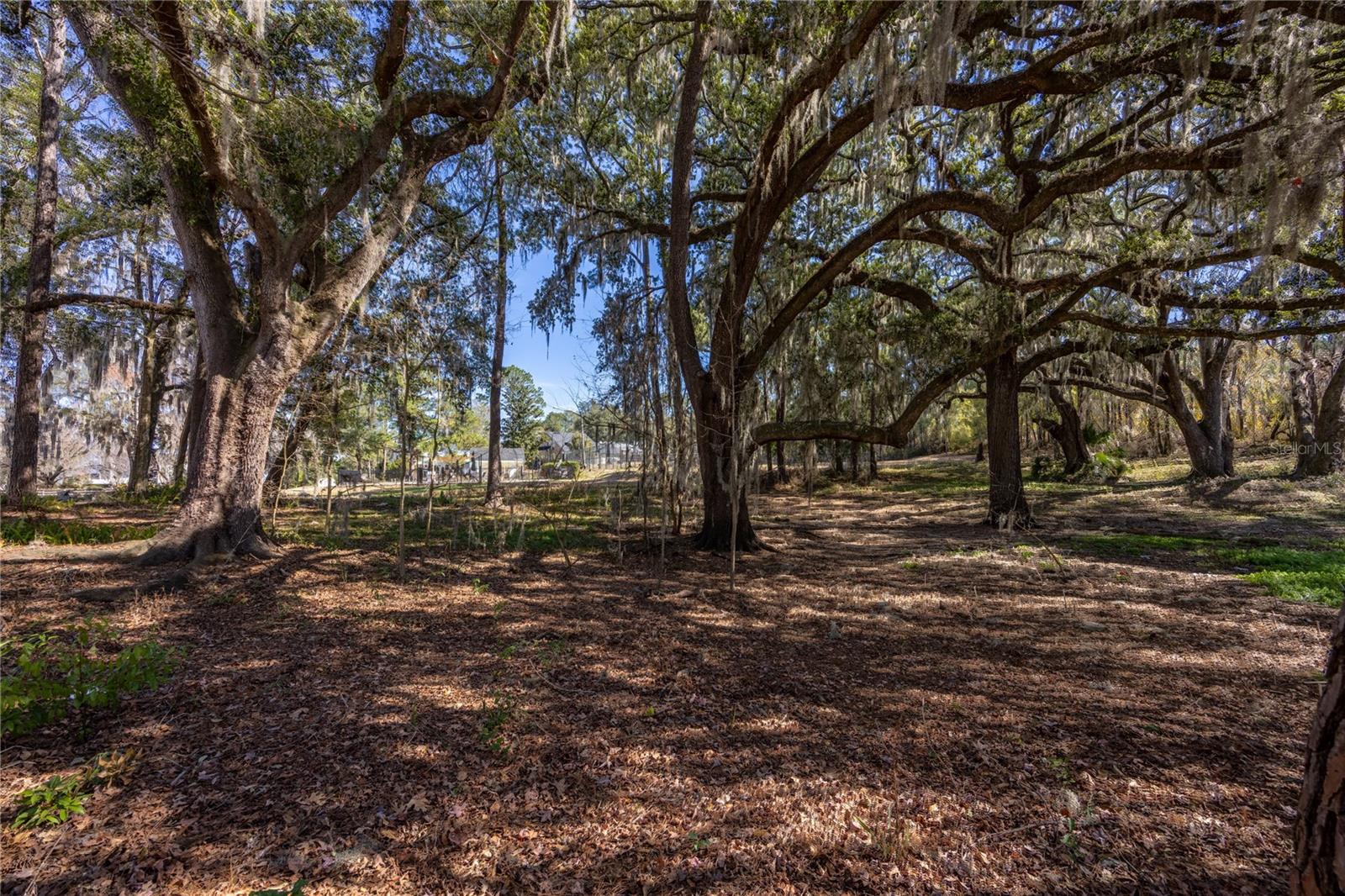 NORTHRIDGE PH I - Residential