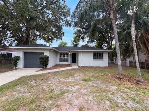Photo of 4209 E Alene Drive, Tampa, FL 33617 (MLS # O6423657)
