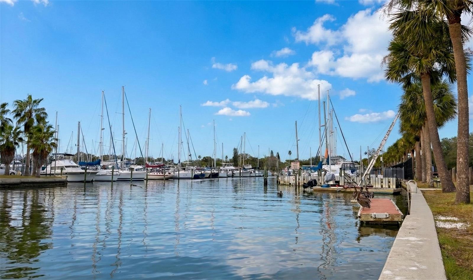 HAYNSWORTH HEIGHTS - Residential