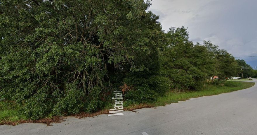 Located in Unit 16 of Silver Springs Shores, this .27 lot is partially cleared and ready for your next home build. With electricity at the lot and not far from parks and shopping, the location can't be beat!