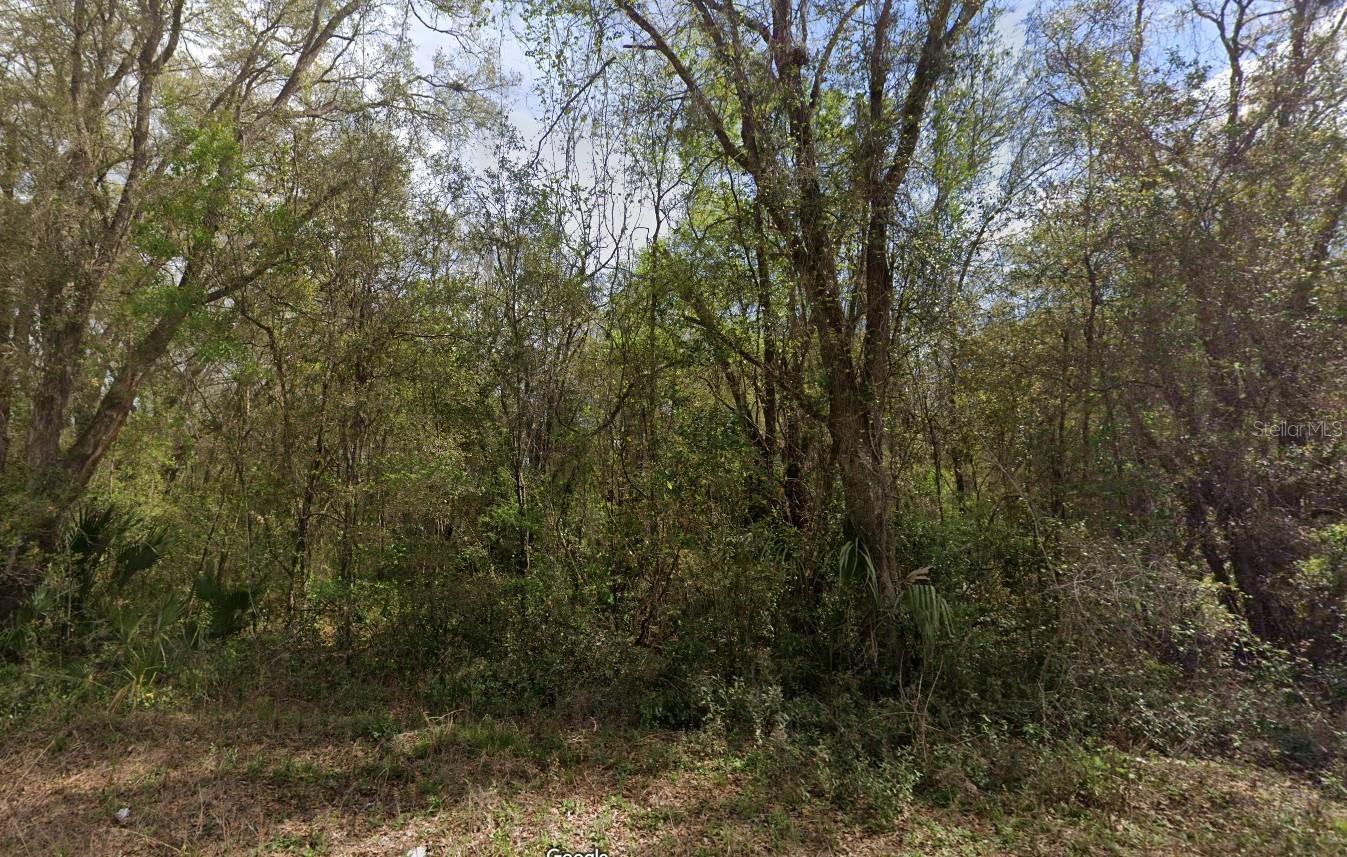 Welcome to this beautifully situated 0.22-acre parcel in Interlachen Lakes Estates, offering exceptional privacy and serene surroundings. Located in the charming town of Interlachen, this vacant lot presents a rare and flexible opportunity—perfect for building your dream home or investment property. With established infrastructure nearby and easy access to local amenities, this lot offers both convenience and tranquility. Don’t miss this chance to own a slice of Putnam County bliss in a quiet, well-managed community.