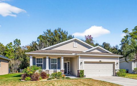 Photo of 808 Bronze Bush Court, Plant City, FL 33566 (MLS # TB8471560)