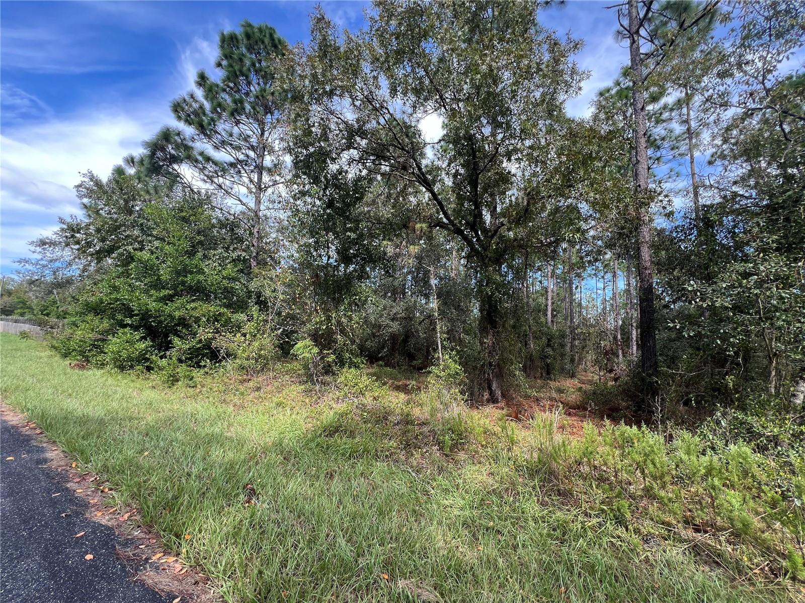 Prime lot in Rainbow Lakes Estates. All the features you are looking for to build your new home or investment property. Flood Zone X and electric next door. Site Built Homes ONLY. Although there is no HOA, the community provides extensive amenities, including a community center that hosts events such as craft workshops, dinners, plant swaps, and has pavilions for event rentals. Additional amenities include basketball courts, tennis courts, PICKLEBALL courts, walking trails, a boat ramp and dock, pavilions, and playgrounds. Residents can also enjoy a fitness center offering affordable classes and a youth center for the younger residents
Located in a less populated area of the community, it's not uncommon to see deer crossing your yard from time to time, adding to the charm of this peaceful setting and the nature that surrounds.
Nearby you will find a plethora of things to do such as golf, shopping, dining, kayaking, tubing, snorkeling, diving in the crystal clear water of Rainbow River. Rainbow Springs offers swimming and beautiful nature trails with waterfalls. For additional adventures or fishing you are just a 30 minute drive from Crystal River.