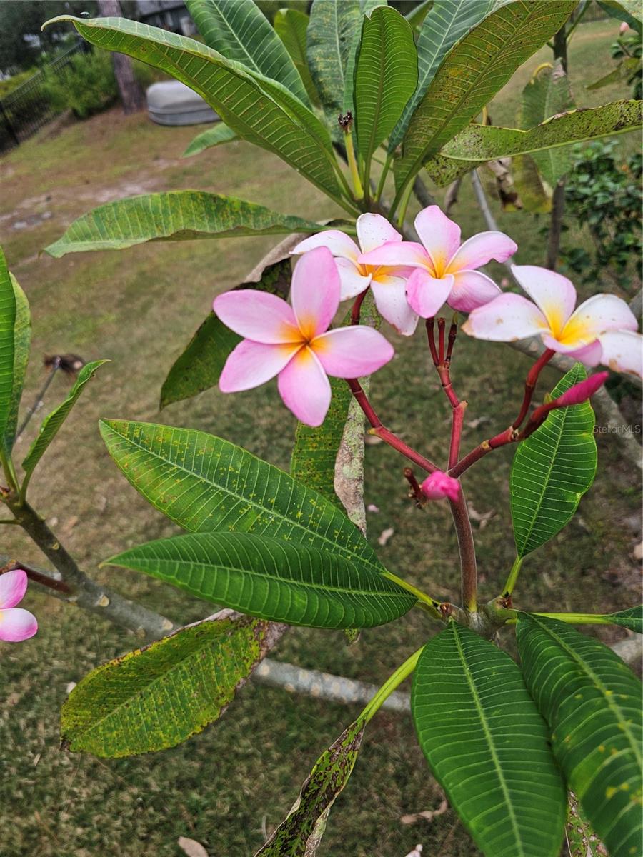 PORT CHARLOTTE SUB 27 - Residential