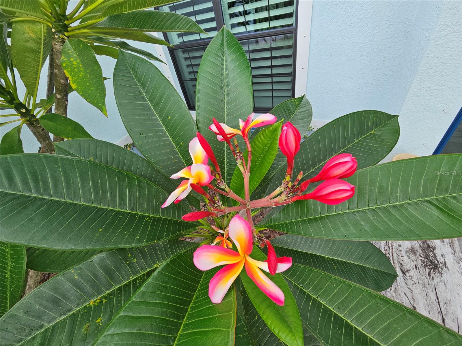 PORT CHARLOTTE SUB 27 - Residential