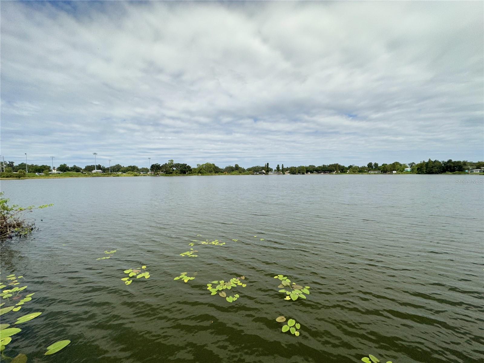 HONEYTREE NORTH - Residential