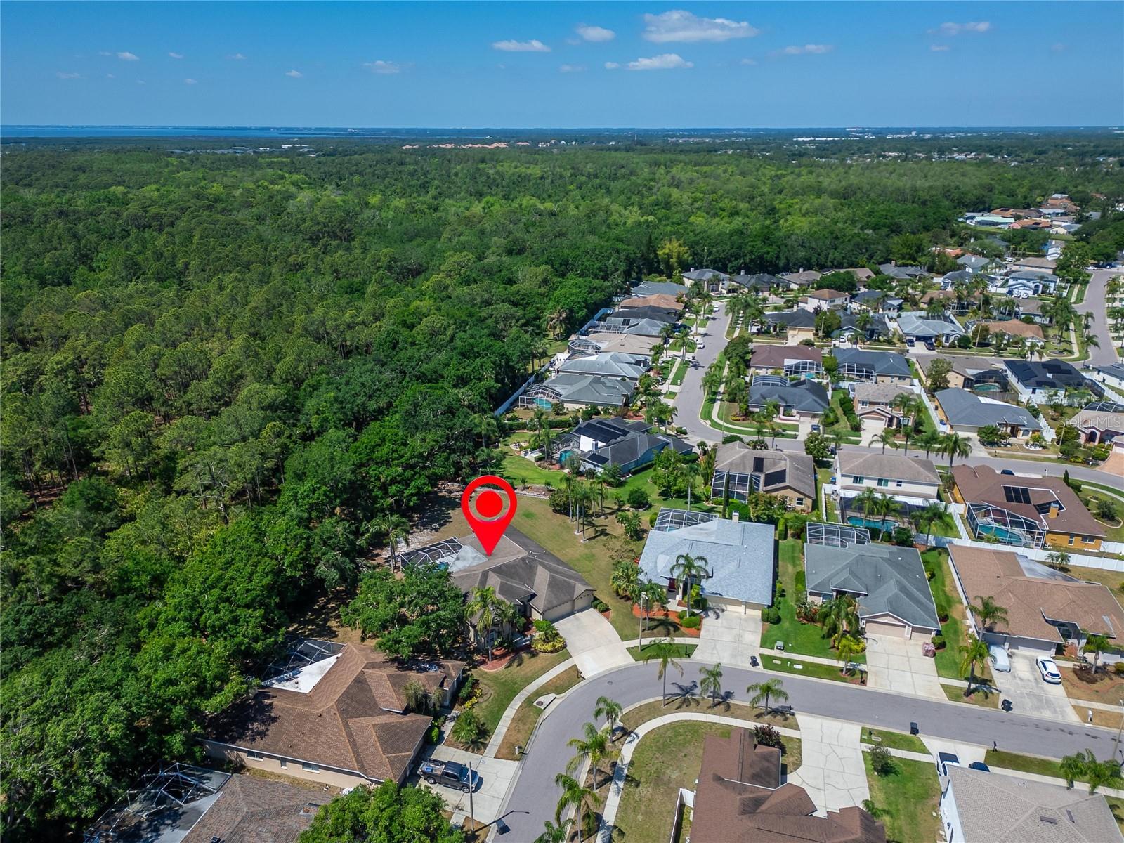 10110 VISTA POINTE DRIVE
