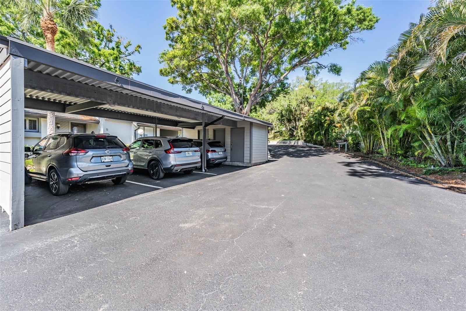 LAKE TARPON SAIL & TENNIS CLUB - Residential Lease