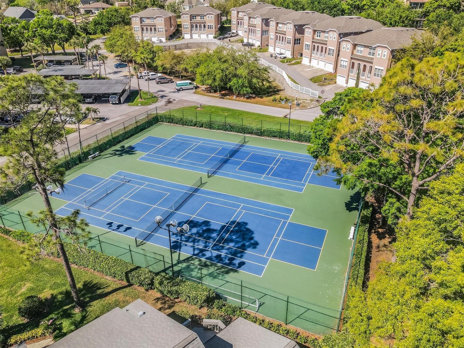 LAKE TARPON SAIL & TENNIS CLUB - Residential Lease