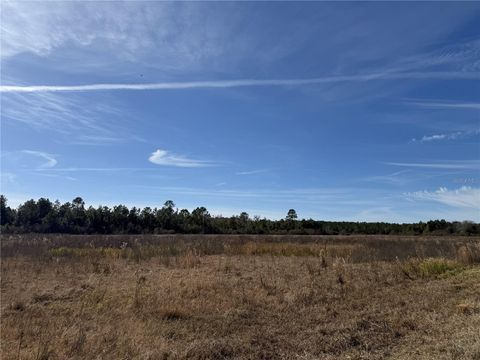 Tiny photo for 216 NE 85th Ave Rd, Citra, FL 32113 (MLS # OM715229)