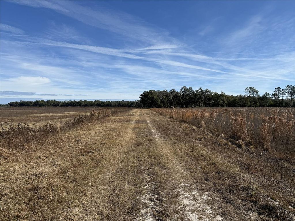 Photo of 216 NE 85th Ave Rd, Citra, FL 32113 (MLS # OM715229)