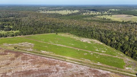 Tiny photo for 216 NE 85th Ave Rd, Citra, FL 32113 (MLS # OM715229)