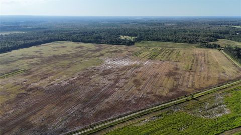 Tiny photo for 216 NE 85th Ave Rd, Citra, FL 32113 (MLS # OM715229)