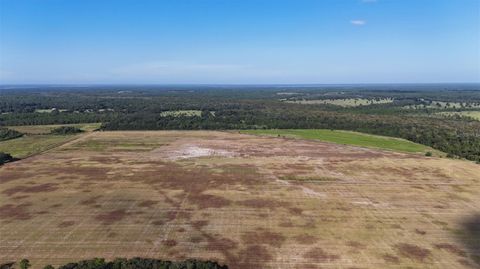 Tiny photo for 216 NE 85th Ave Rd, Citra, FL 32113 (MLS # OM715229)