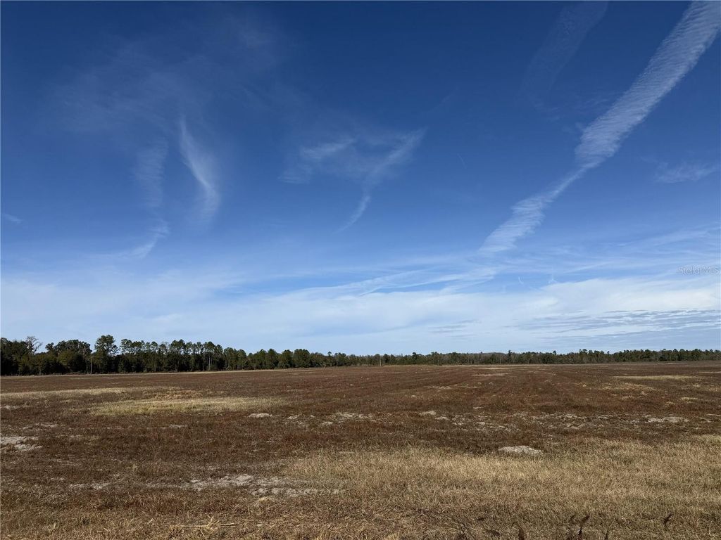 Photo of 216 NE 85th Ave Rd, Citra, FL 32113 (MLS # OM715229)
