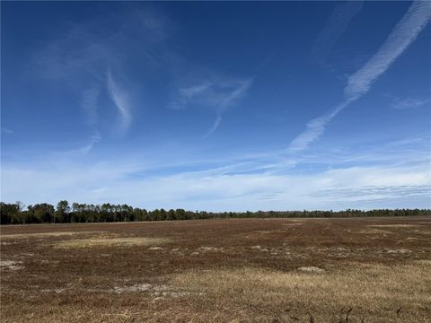 Tiny photo for 216 NE 85th Ave Rd, Citra, FL 32113 (MLS # OM715229)