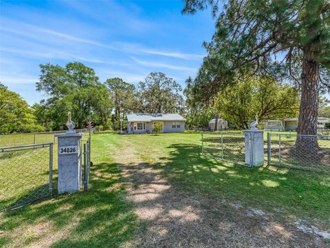 Photo of 34826 Learn Road, Leesburg, FL 34788 (MLS # G5108793)