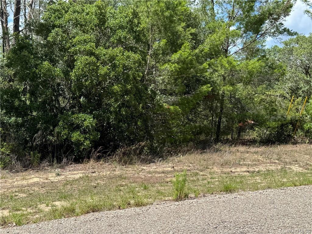 CITRUS SPGS UNIT 10 - Land