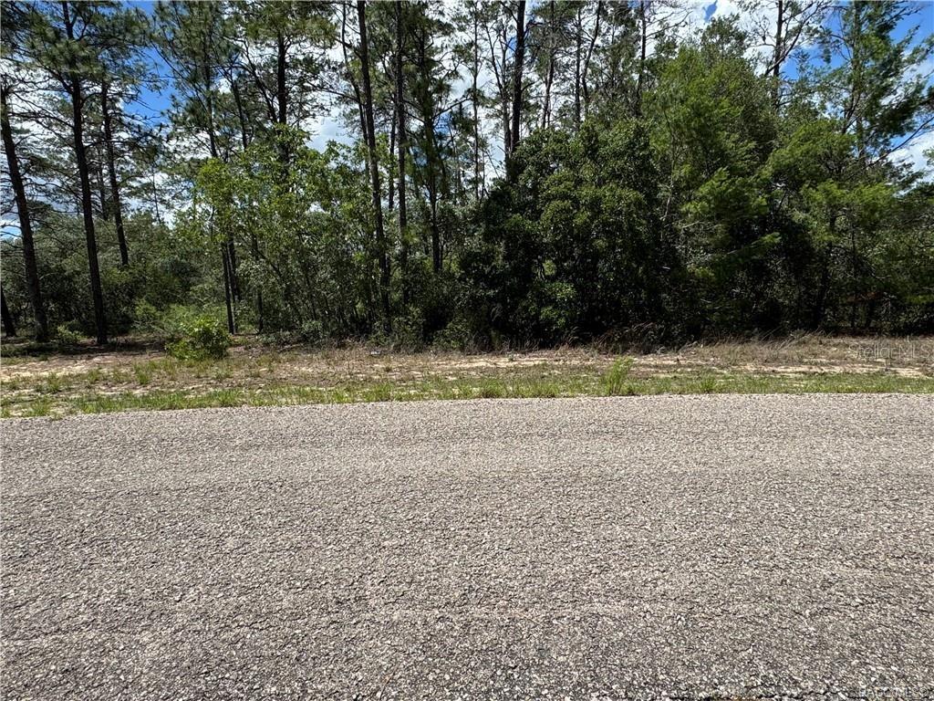 CITRUS SPGS UNIT 10 - Land