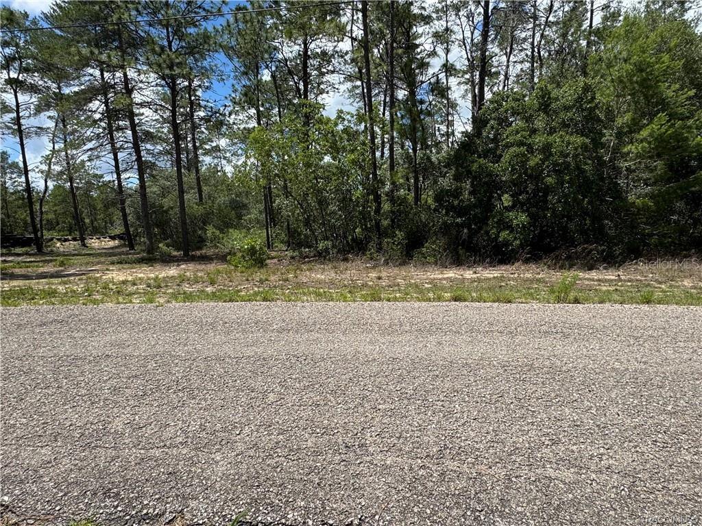 CITRUS SPGS UNIT 10 - Land