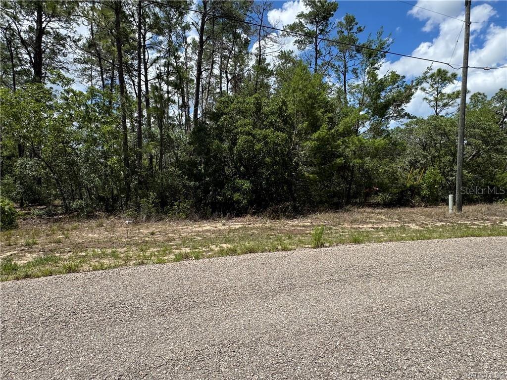 CITRUS SPGS UNIT 10 - Land