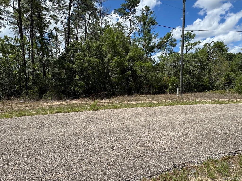 CITRUS SPGS UNIT 10 - Land