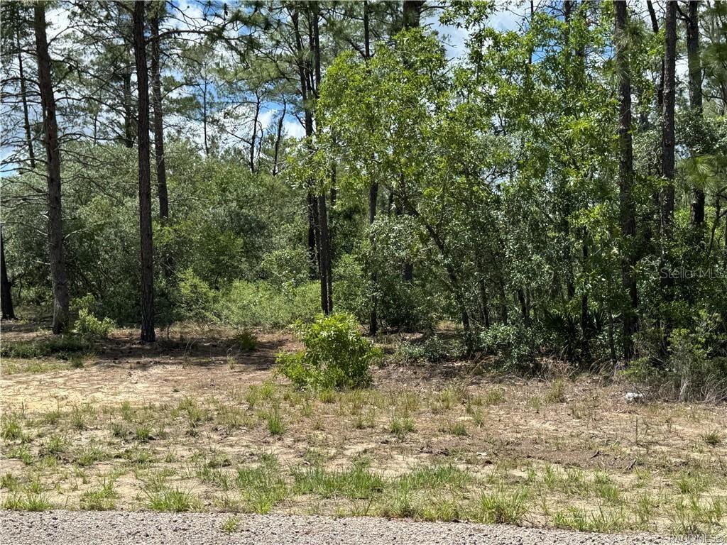 CITRUS SPGS UNIT 10 - Land