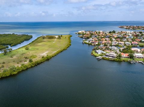 A home in APOLLO BEACH