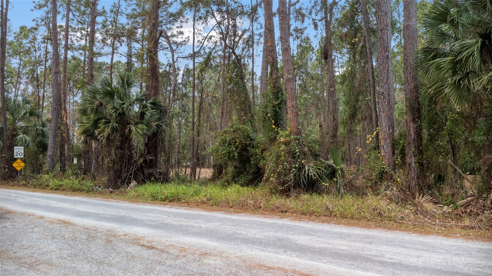 ST JOHNS RIVER ESTATES UNIT 01 - Land