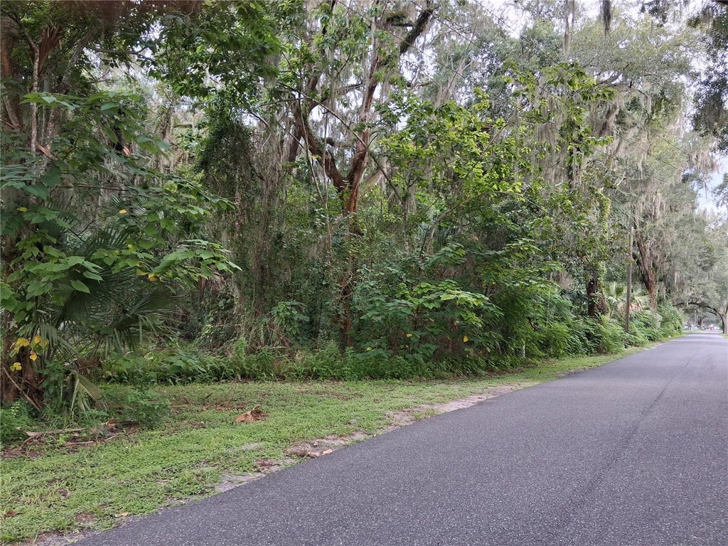 Photo of County Rd 730, Webster, FL 33597 (MLS # G5116353)