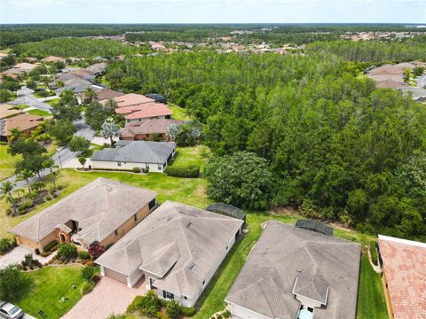 A home in KISSIMMEE