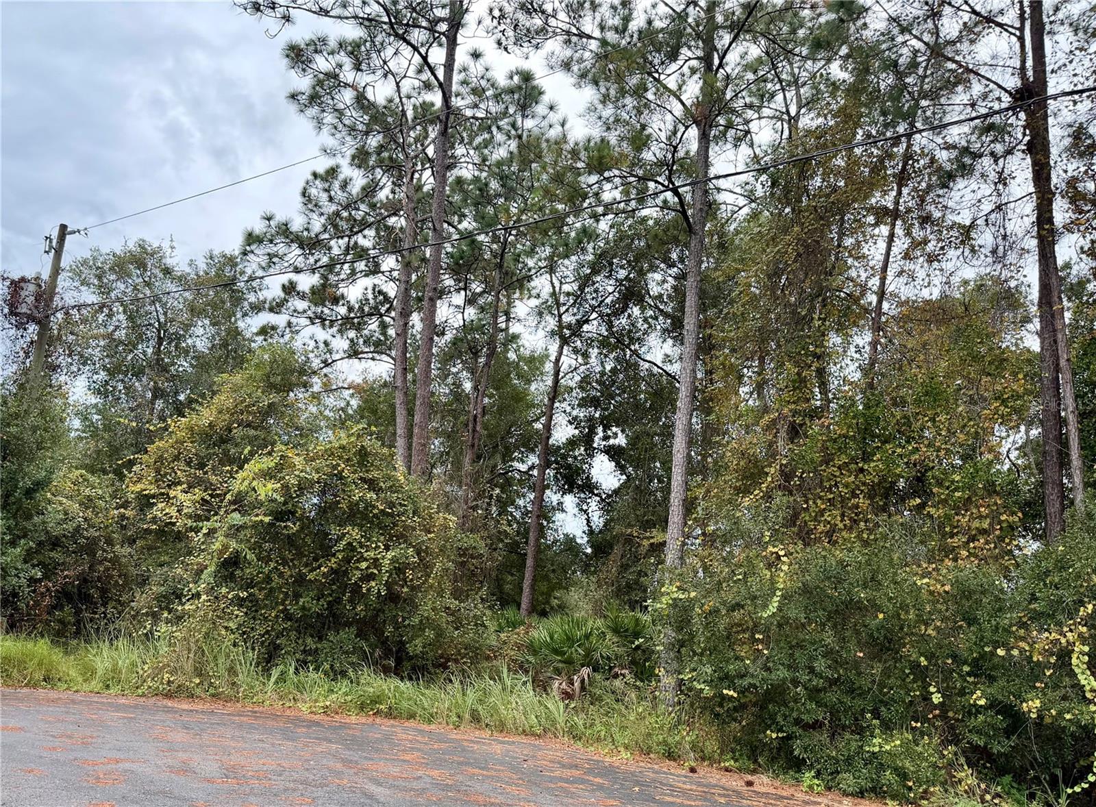 SILVER SPRINGS SHORES - Land