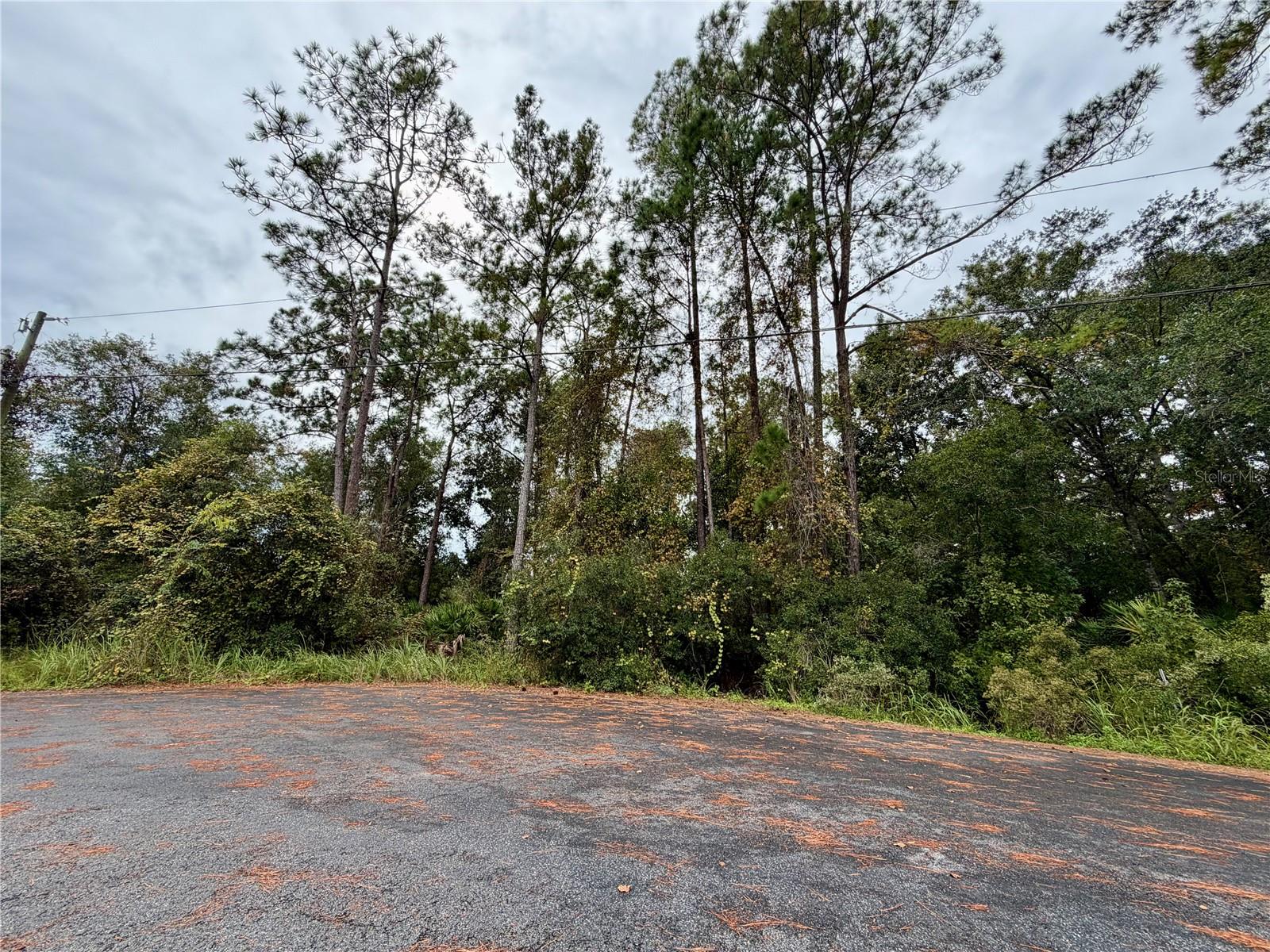 SILVER SPRINGS SHORES - Land