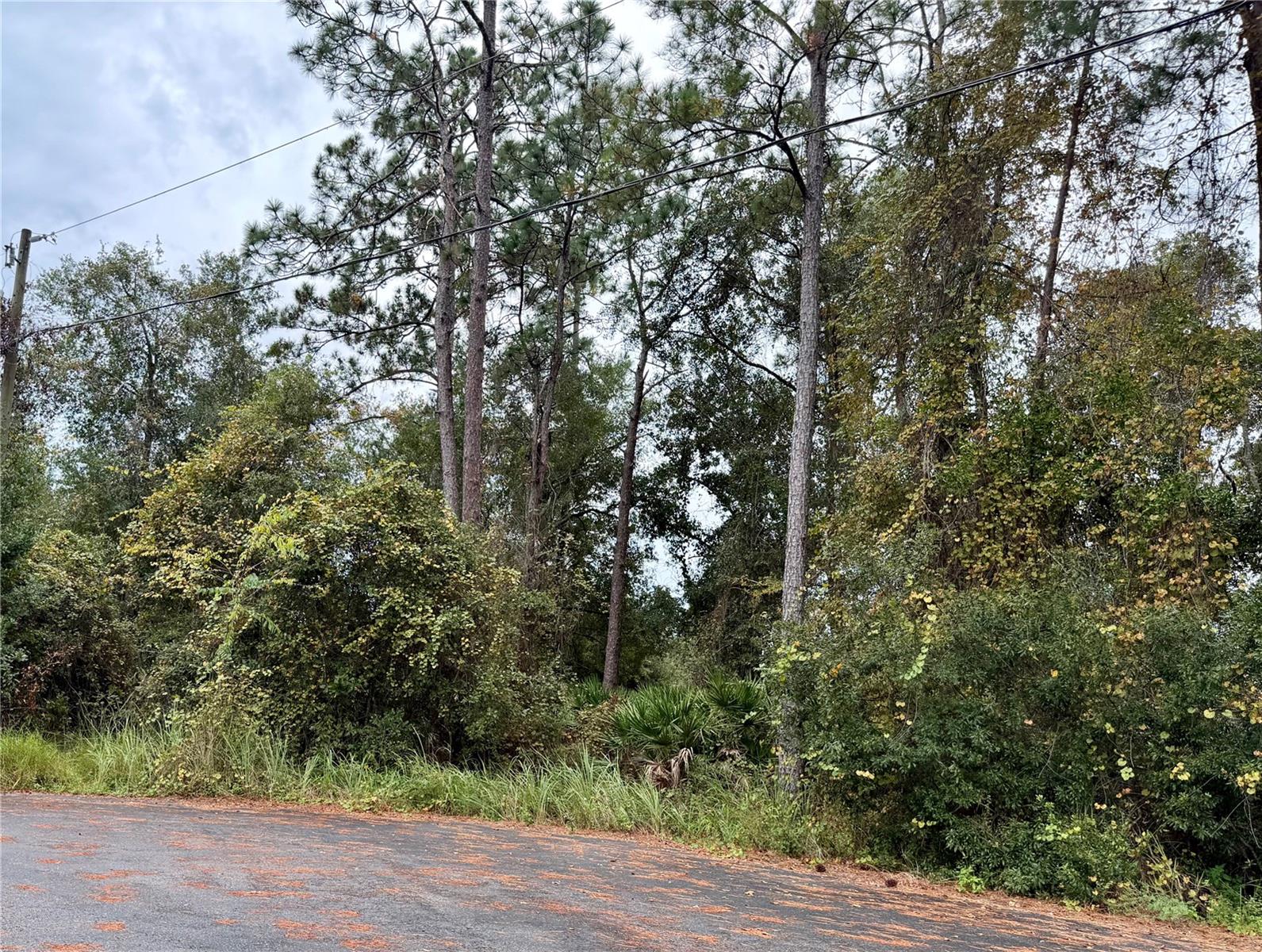 SILVER SPRINGS SHORES - Land