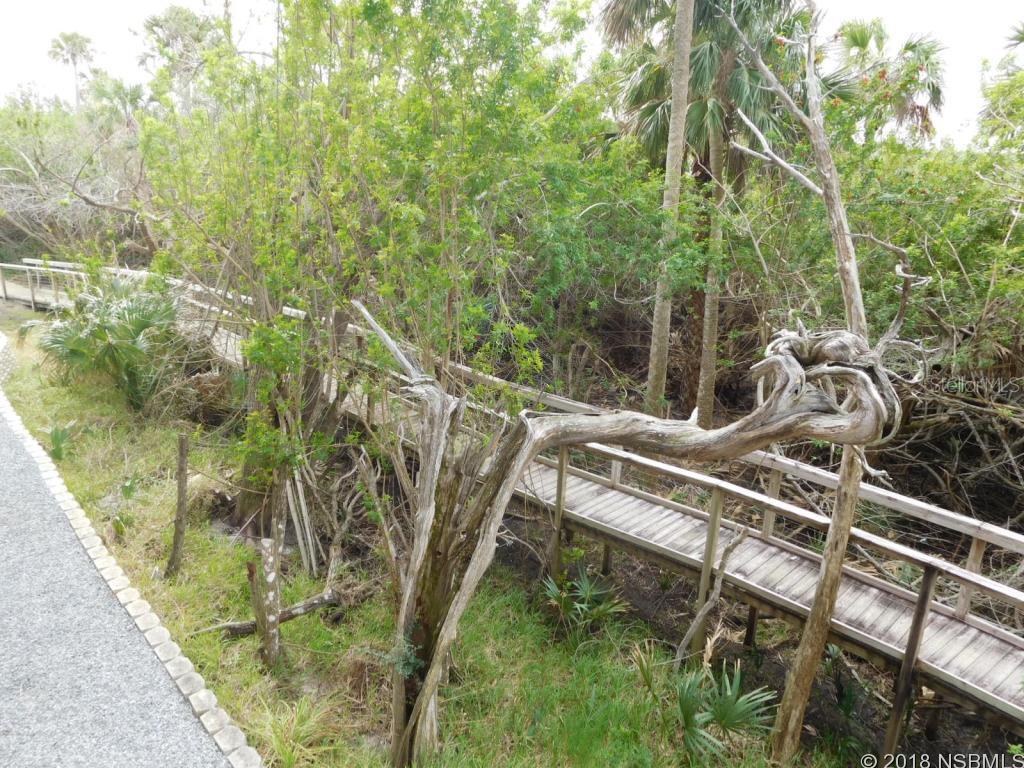 Ocean Walk Condo At Nsb - Residential