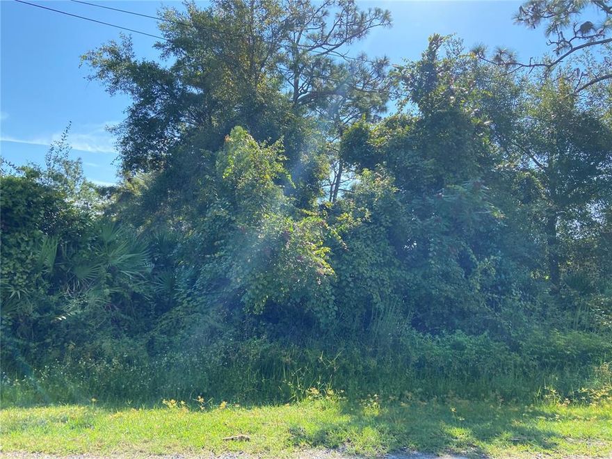 FOR FUTURE USE. This property is unincorporated and NO ACCESS to the property. YOU CAN BUY THIS FOR FUTURE USE. Close to grocery stores, shopping, schools, park, I-4, Orlando attractions, restaurants and Daytona Beaches