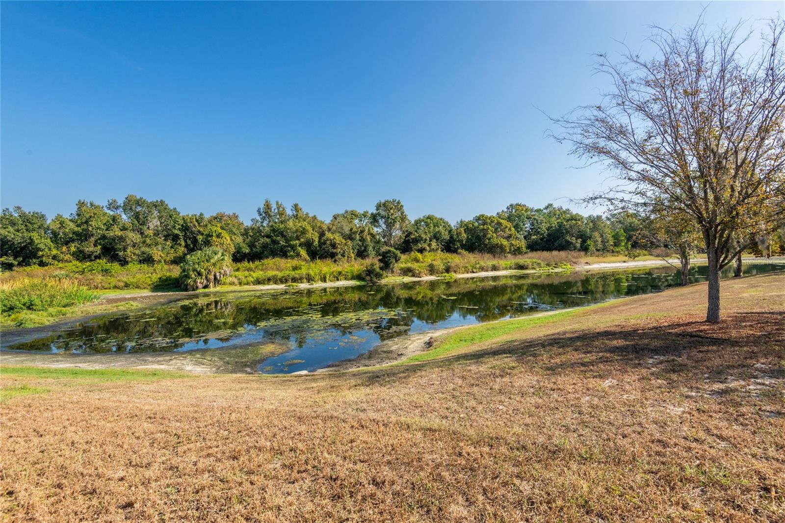 RIVERGLEN UNITS 5 6 & 7 PHAS - Residential