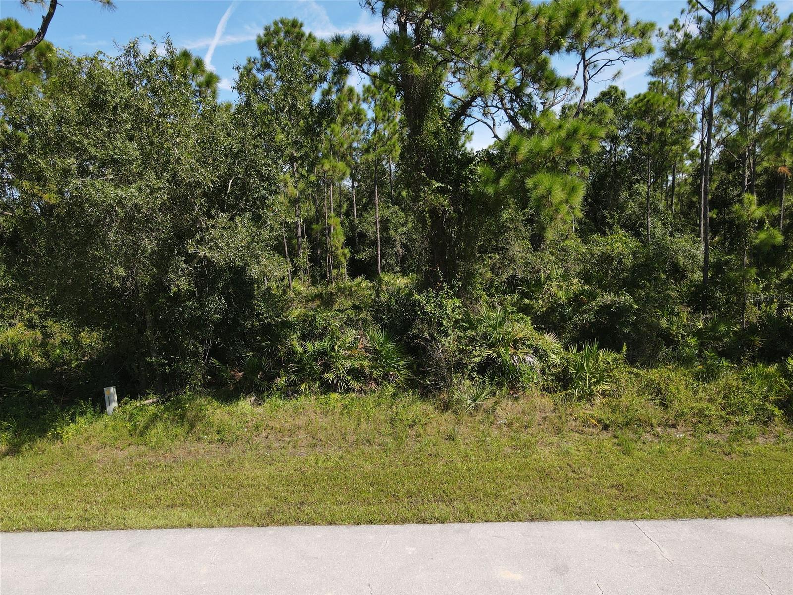 Great opportunity to secure your own piece of Tropical Gulf Acres! This desirable lot offers both privacy and convenience, tucked in a growing community with easy access to I-75, shopping, dining, and schools. With development on the rise, now is the ideal time to invest in this sought-after area. Don’t wait—schedule a visit today and see the potential for yourself!