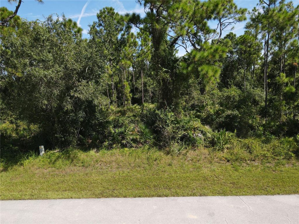 Photo of 27064 Valencia Drive, Punta Gorda, FL 33955 (MLS # C7514260)