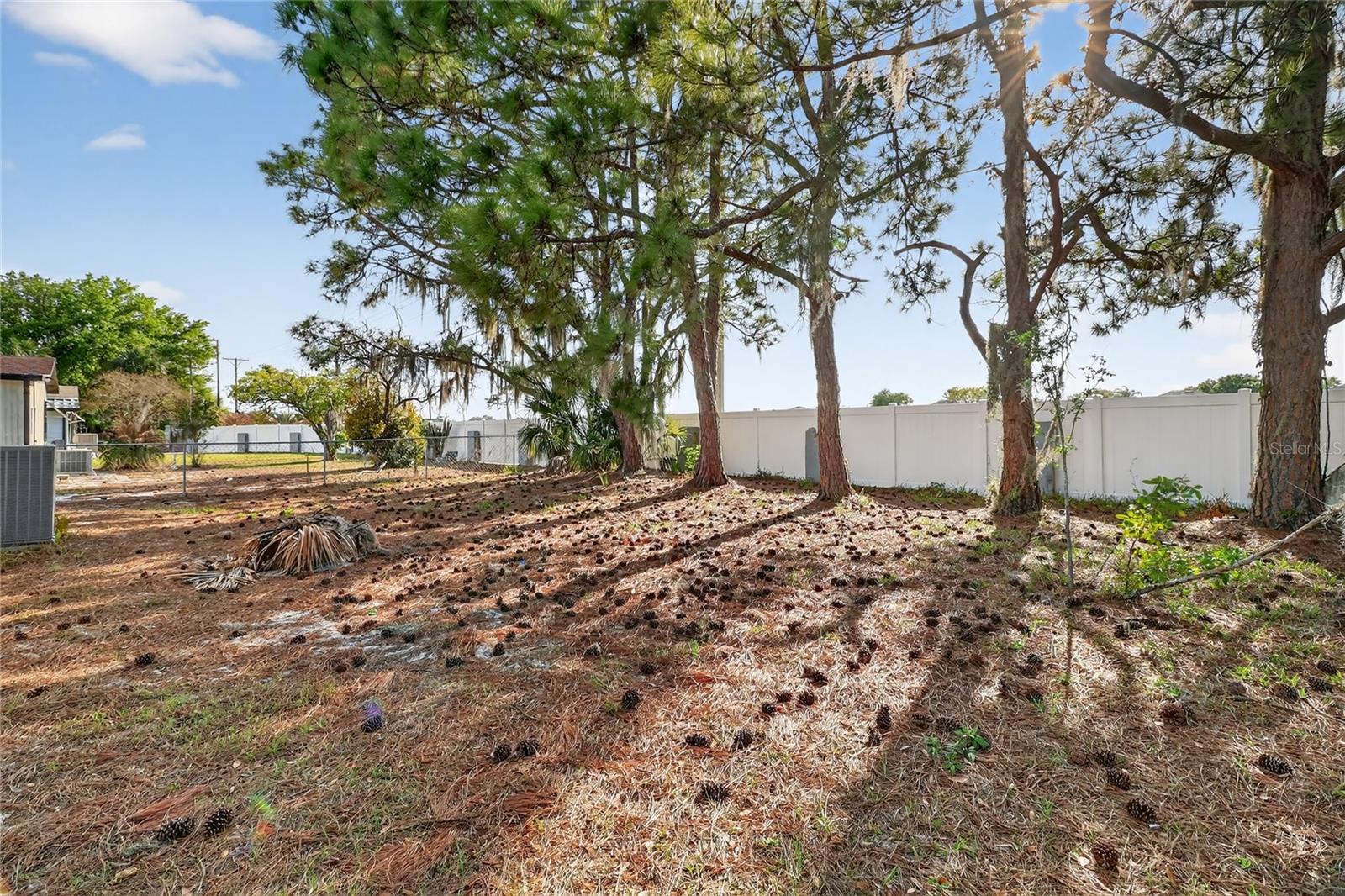 VILLAGE PARK - Residential