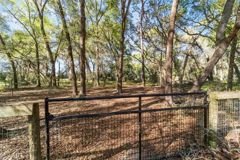 Tiny photo for 4849 NE 132nd Place, Anthony, FL 32617 (MLS # OM721293)