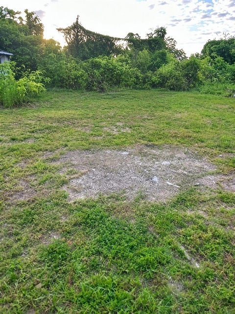 Photo of 2610 2nd Avenue E, Palmetto, FL 34221 (MLS # A4702169)
