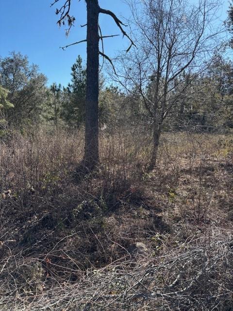 ORLANDO PINES UNIT 4 SEC 7 AND 18 - Land