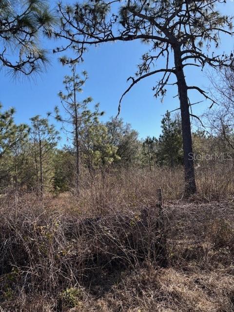 ORLANDO PINES UNIT 4 SEC 7 AND 18 - Land